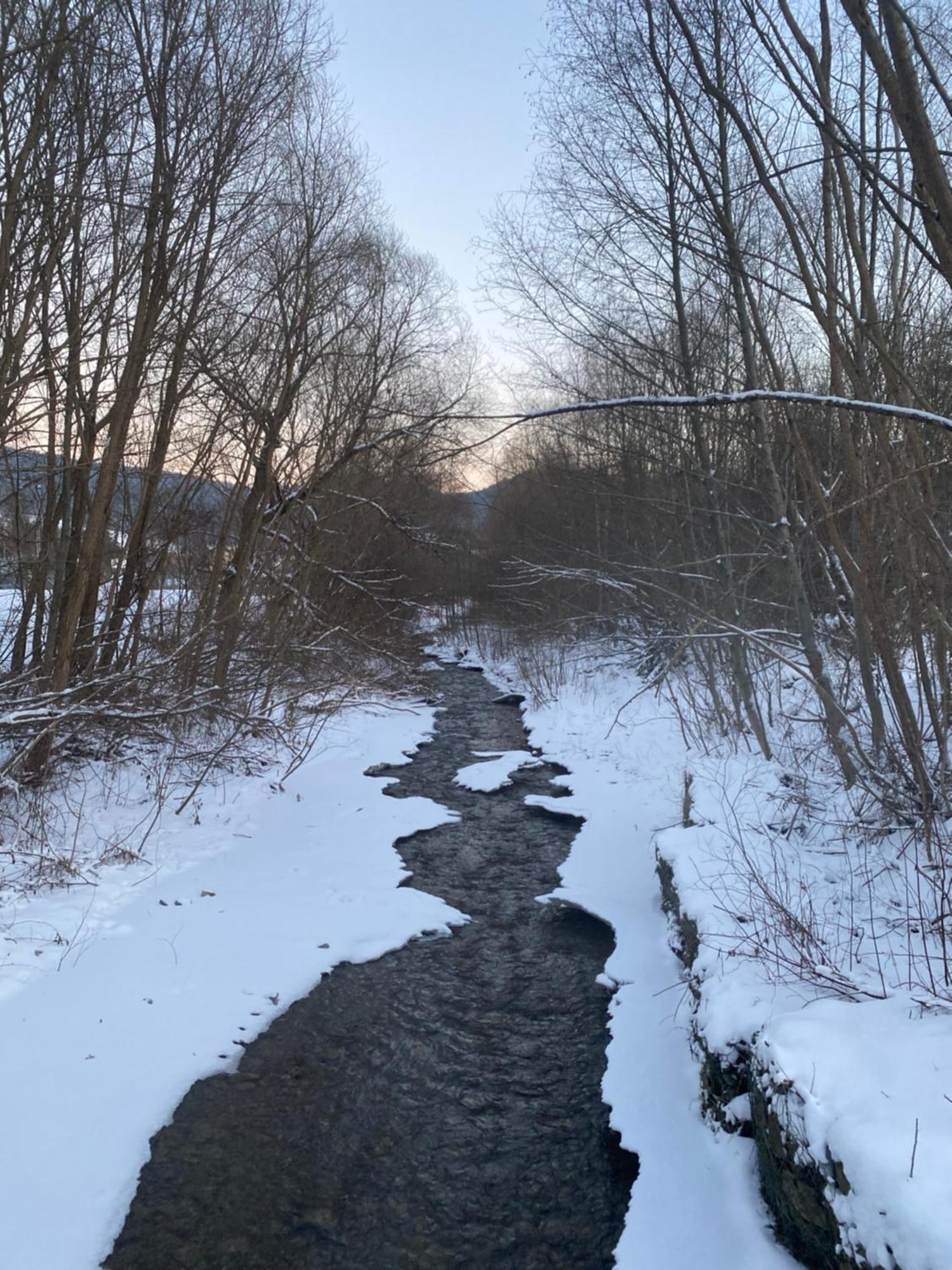 Dom Goscinny Jawor Czarnypotok Krynica Zdroj Bagian luar foto